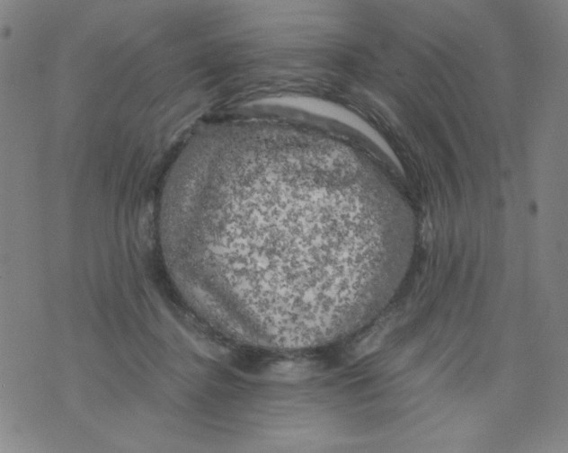 X0000075920364200610062213