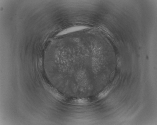 X0000075920365200610062213