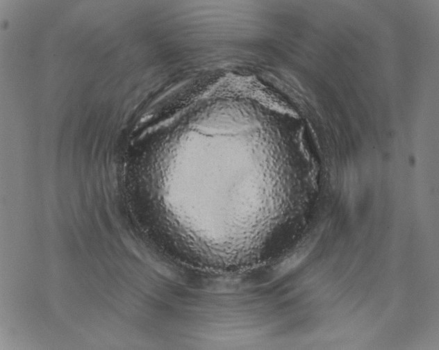 X0000075920366200610062213