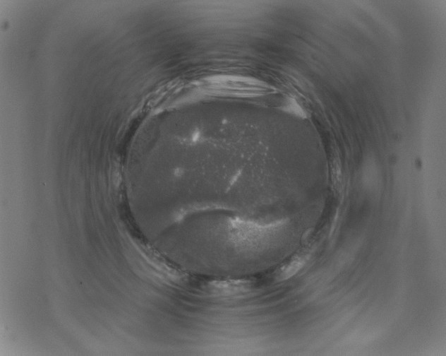 X0000075920367200610062213