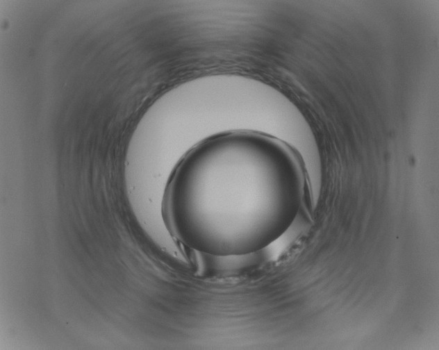 X0000075920368200610062213