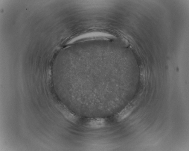 X0000075920369200610062213