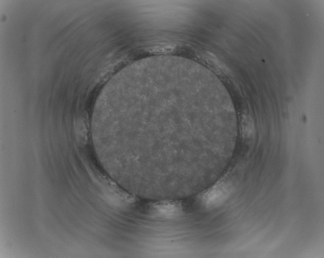 X0000075920370200610062213