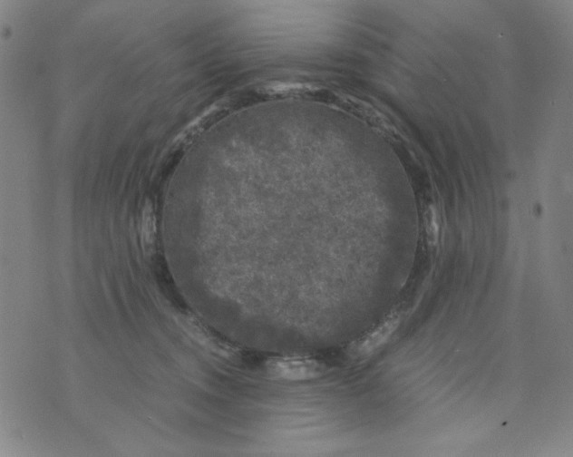 X0000075920372200610062213