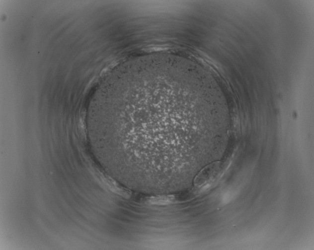 X0000075920373200610062213