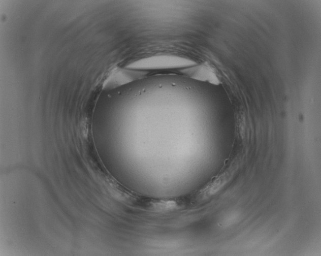 X0000075920374200610062214