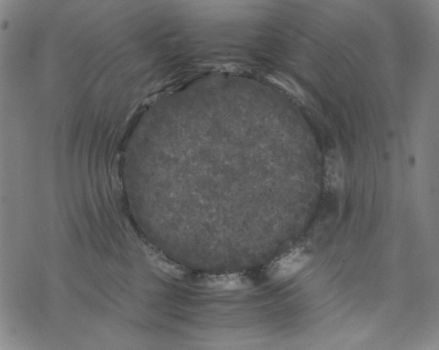 X0000075920377200610062214