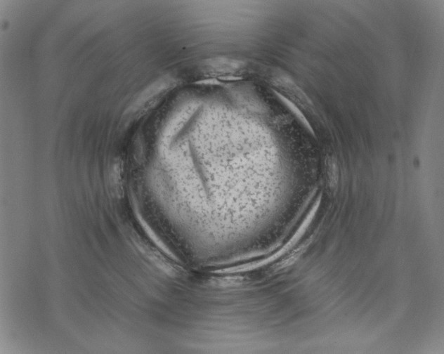 X0000075920378200610062214