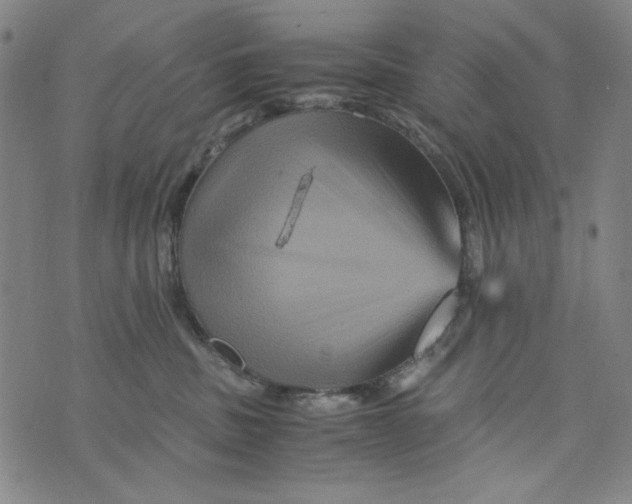 X0000075920379200610062214