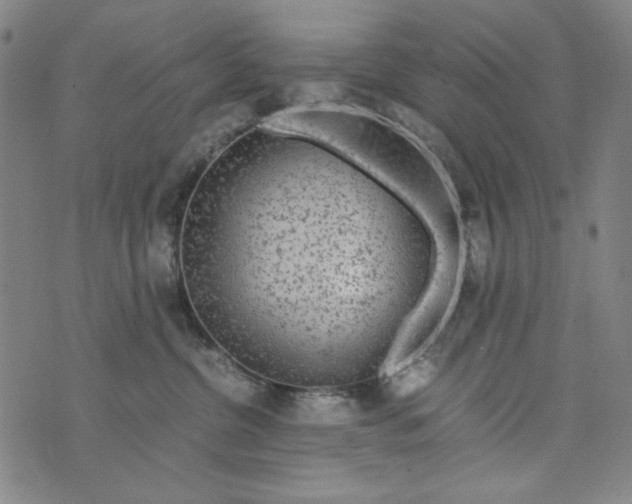 X0000075920380200610062214