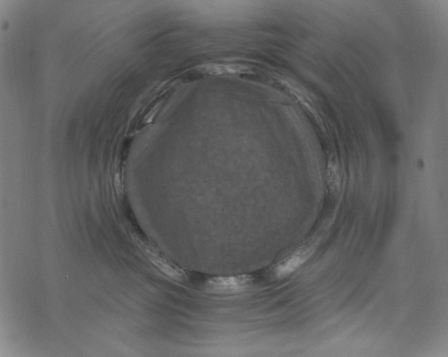 X0000075920381200610062214