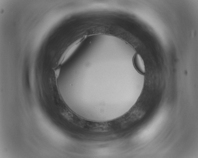 X0000075920382200610062214