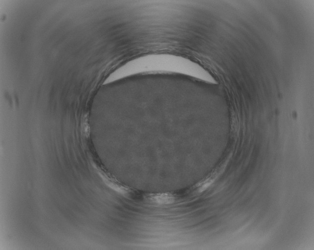 X0000075920383200610062214