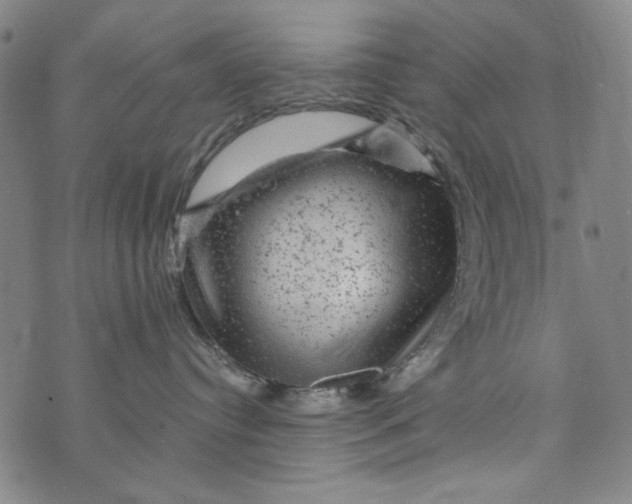 X0000075920384200610062214