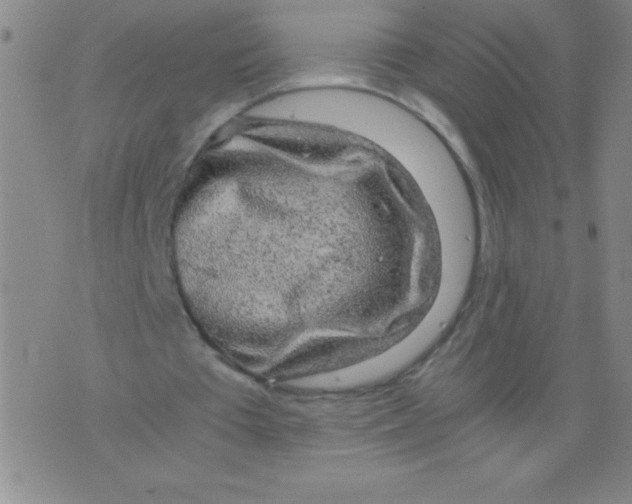 X0000075920385200610062213