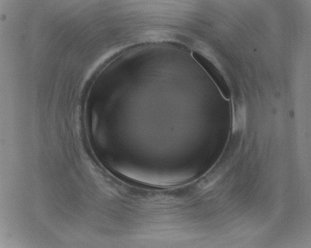 X0000075920387200610062213