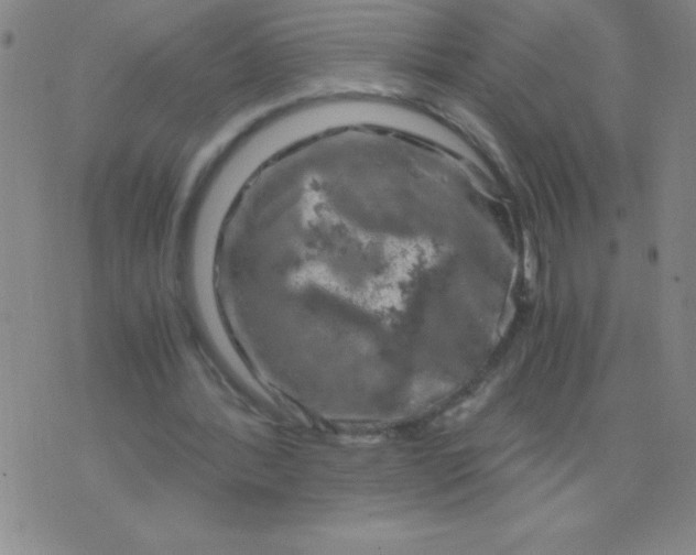 X0000075920388200610062213