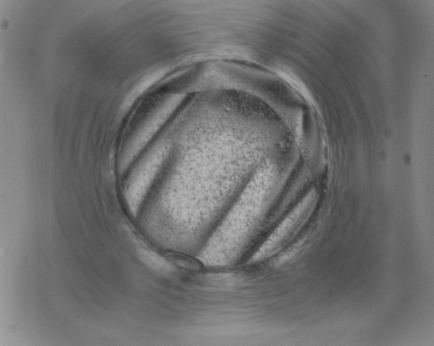 X0000075920389200610062213