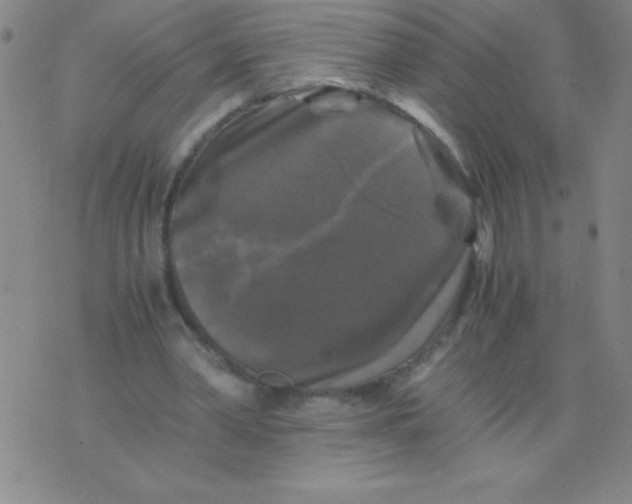 X0000075920390200610062213