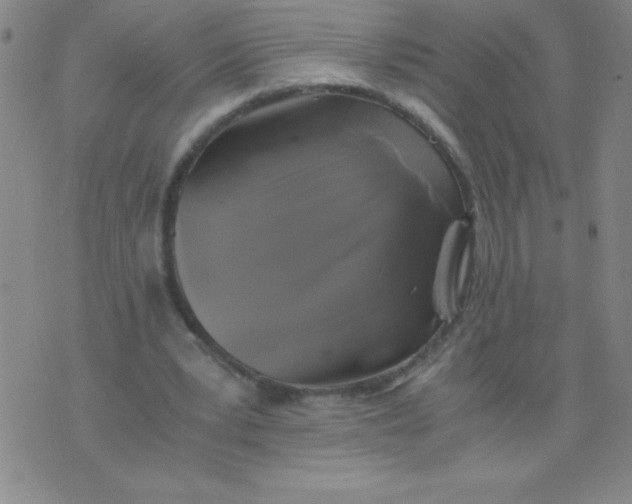 X0000075920391200610062213