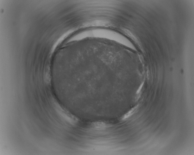 X0000075920392200610062213