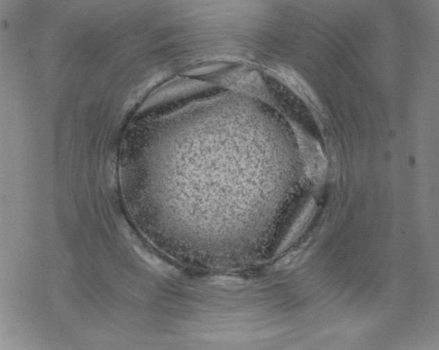 X0000075920393200610062213