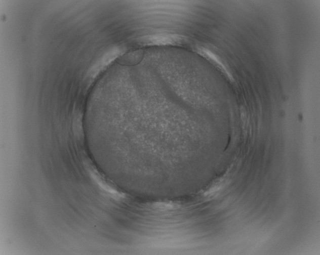 X0000075920394200610062213