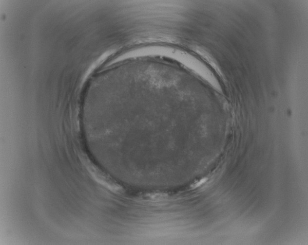 X0000075920395200610062213