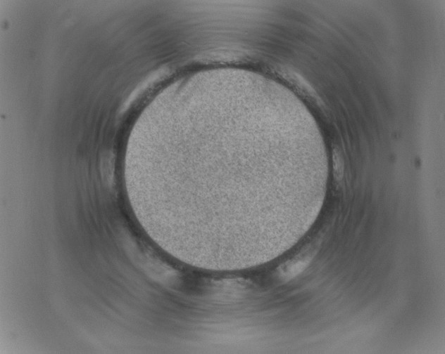 X0000075920396200610062213