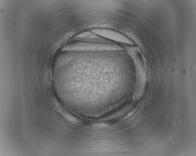 X0000075920397200610062213