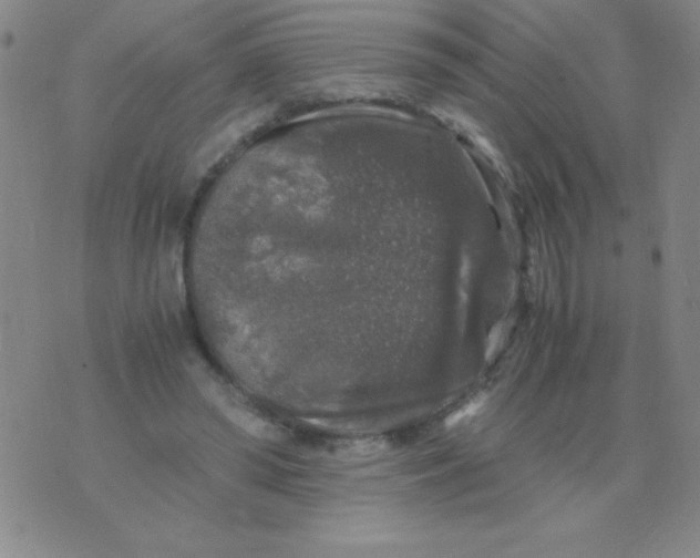 X0000075920398200610062213