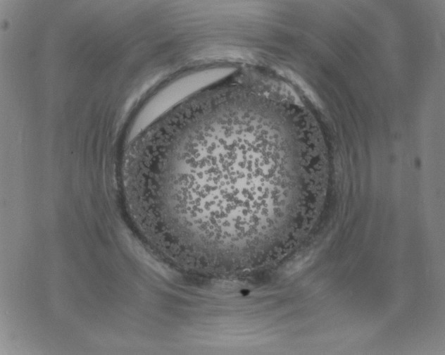 X0000075920399200610062213