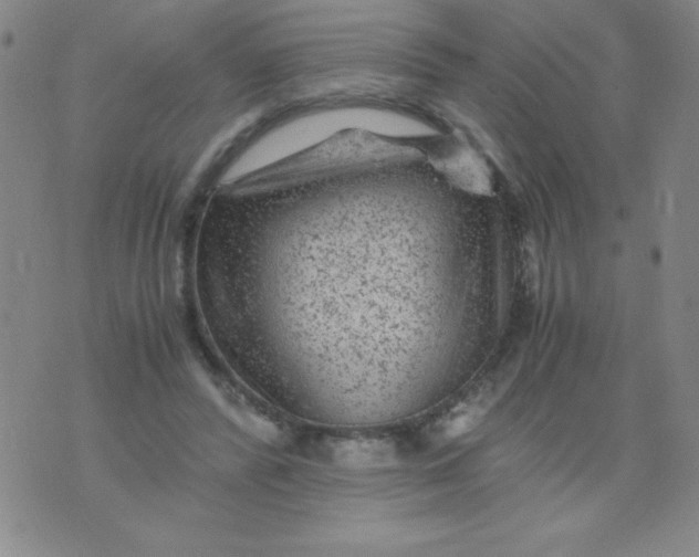 X0000075920400200610062213