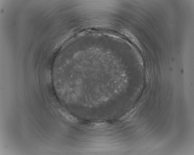 X0000075920401200610062213