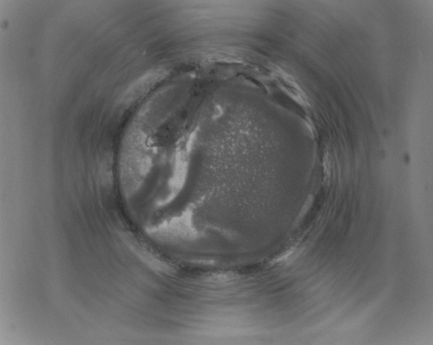 X0000075920402200610062213