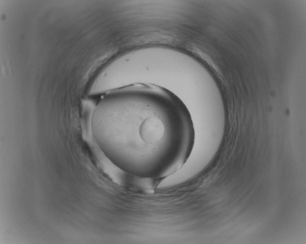 X0000075920403200610062213