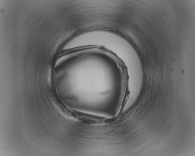 X0000075920404200610062213