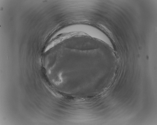 X0000075920405200610062213