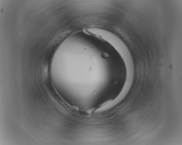 X0000075920406200610062213