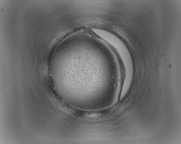 X0000075920407200610062213