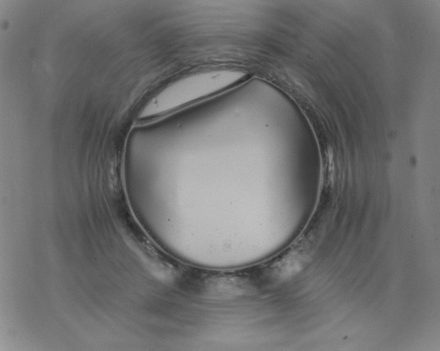 X0000075920408200610062213