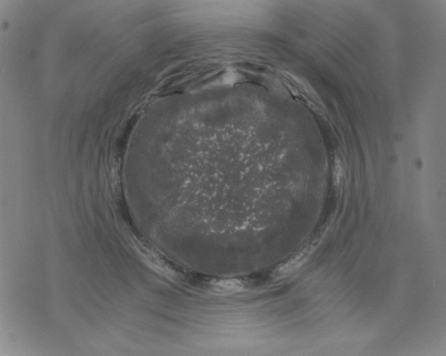 X0000075920409200610062212