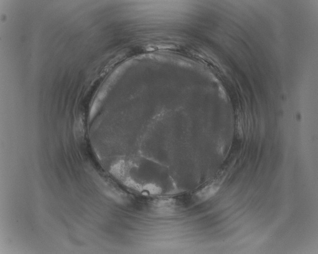 X0000075920410200610062212