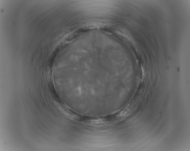 X0000075920411200610062212