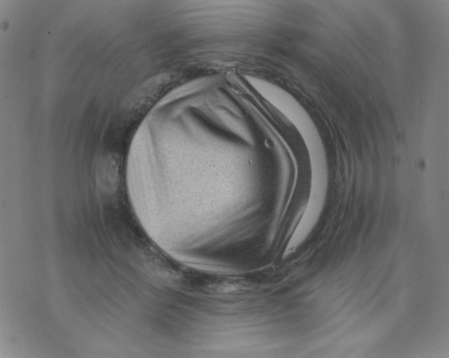 X0000075920412200610062212