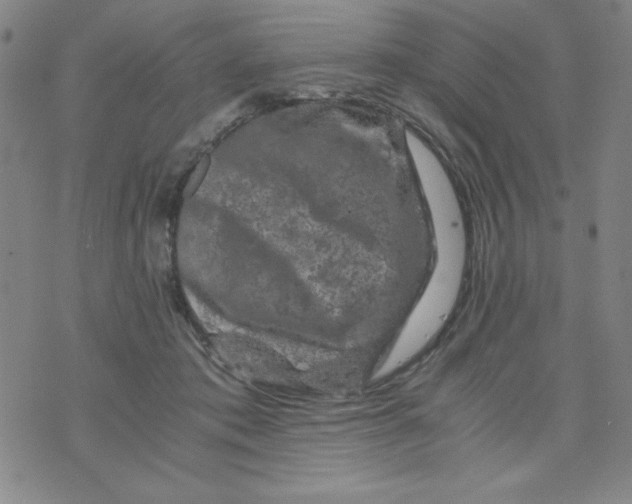 X0000075920413200610062212