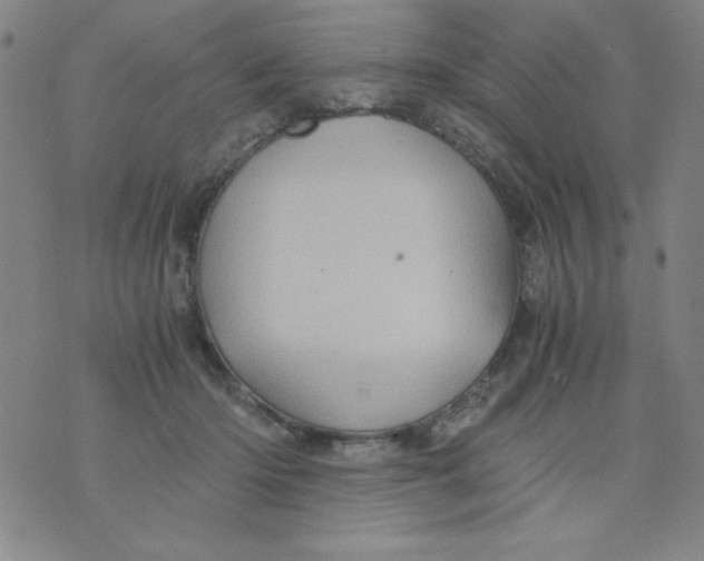 X0000075920414200610062212