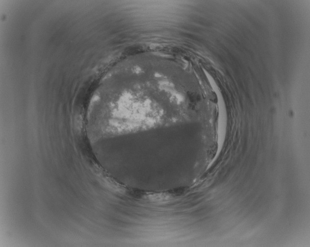 X0000075920417200610062212