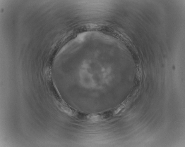 X0000075920419200610062212