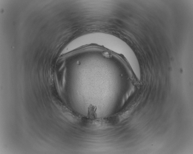 X0000075920420200610062212